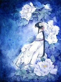幽幽夏季